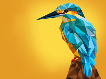 Agent's Name And Logo Here