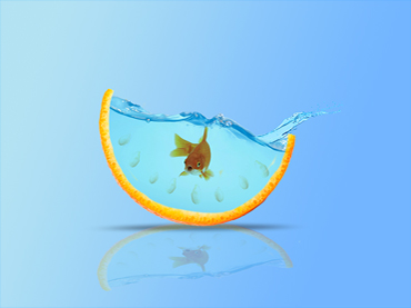 Agent's Name And Logo Here